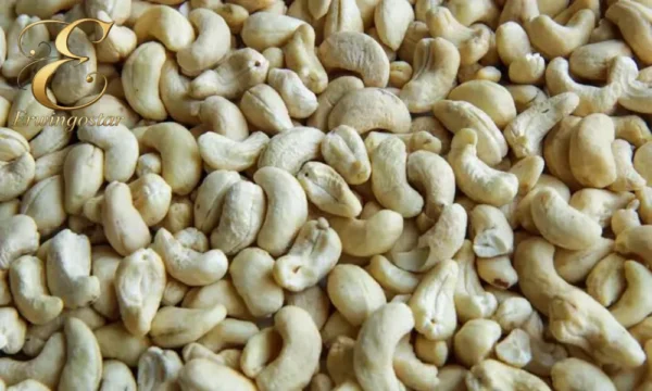 بادام هندی