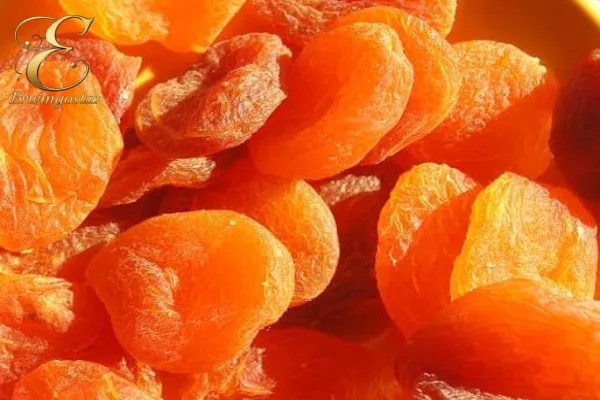 انواع برگه قیسی