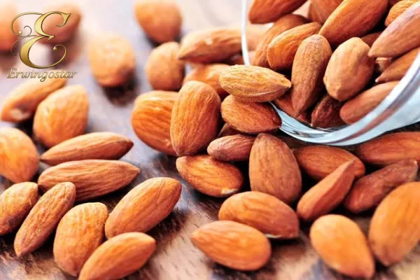 چگونه بادام باکیفیت را تشخیص دهیم؟
