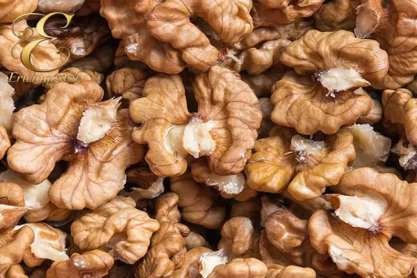 کاربردهای مختلف گردو در صنایع غذایی