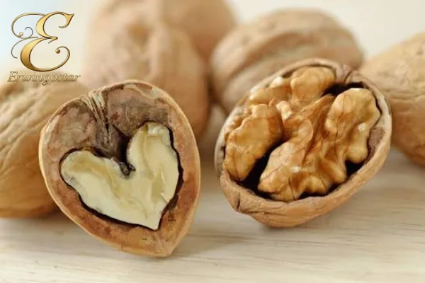 انواع گردو بر چه اساسی دسته بندی میشوند؟